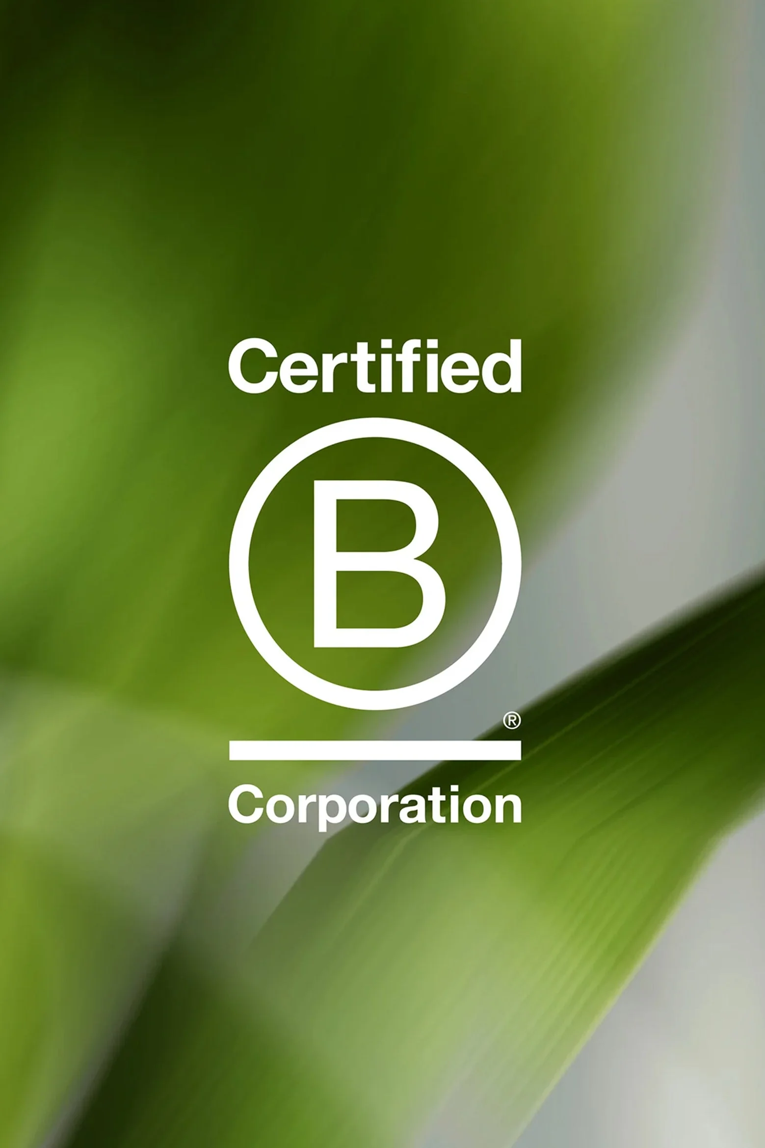 iBrush Ultra | Black - Image 23